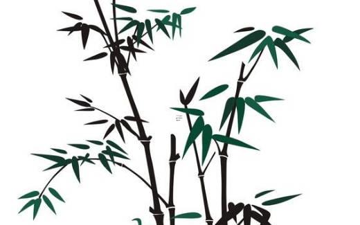 屬羊和屬豬的合得來嗎 屬羊和屬豬的相合嗎 屬羊和屬豬的合得來嗎 屬羊和屬豬的相合嗎