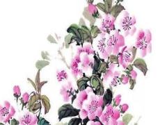 87年屬兔運(yùn)勢(shì)最旺是哪一年,87年屬兔生肖一生運(yùn)勢(shì)