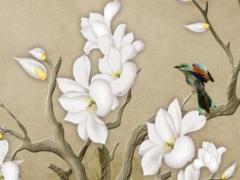 郭晶晶八字無夫星 郭晶晶 八字