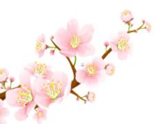 男人佩戴什么可以轉(zhuǎn)運(yùn)招財(cái) 男人佩戴什么會(huì)好運(yùn)