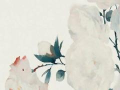 2025年農(nóng)歷五月的吉利日子分析 適合什么