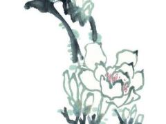 1981年屬雞的運程怎么樣 1981年屬雞人運勢