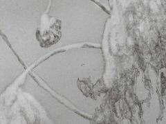 2025年5月好日子推薦適宜安葬