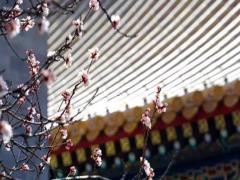 2025年5月開業吉日 哪天最合適