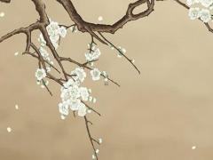 屬狗的今日運勢和財運 屬狗的今日運勢查詢非常運勢