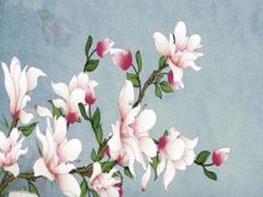 屬狗的人運氣什么時候好,屬狗人的運氣什么時候最旺