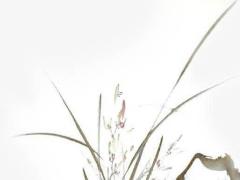 2025年四月開業適宜吉日查詢 哪天好適合女生開業