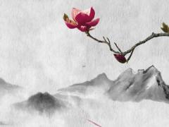 額頭發(fā)旋算命 額頭璇命理