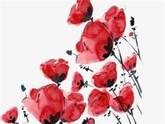 屬兔的都是什么年份 屬兔的是哪些年份