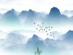 2019年豬年什么時候結(jié)束八字 2019年幾月份的豬命好