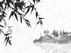 四柱八字喜木戴項鏈 喜木佩戴