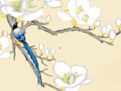 算命說人老心不老啥意思 人老心不老怎么說