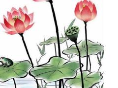 屬虎的財運貴人 屬相虎的貴人運