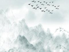 2025年5月搬家吉日適合的選擇