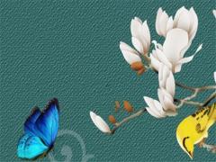 本命年男的能結(jié)婚嗎,本命年男生可以結(jié)婚嗎