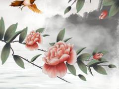 庚子己卯癸亥癸亥男命八字 己卯庚午庚子癸未