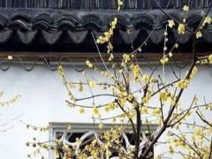 算命妻多小產是啥意思 八字中妻多小產的意思