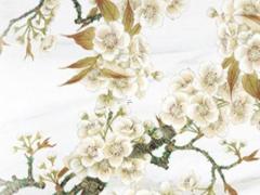 八字看生男女口訣 八字看生男生女口訣