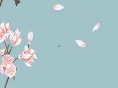 2025年5月開(kāi)業(yè)的適宜吉日 查詢最佳日