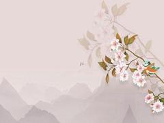 82年一生運(yùn)勢(shì) 82年生人一生運(yùn)勢(shì)