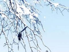 2025年4月買車吉利日子哪日最好