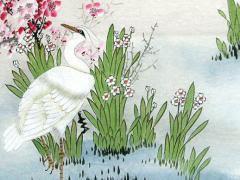 胸口有三顆痣的男人命運怎么樣啊 胸口有3顆痣的男人