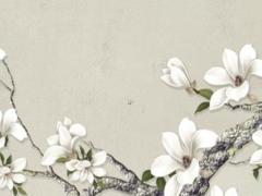 2025年5月合適的探病日子和吉利選擇