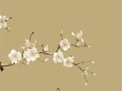 八字四柱怎么看桃花 四柱如何看桃花運