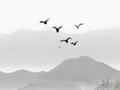 63年兔本命年戴什么飾品,63年屬兔本命年