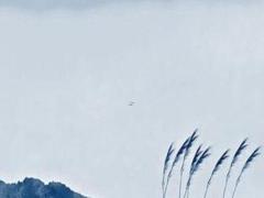 2025年4月提車(chē)吉日查詢(xún)最佳時(shí)機(jī)