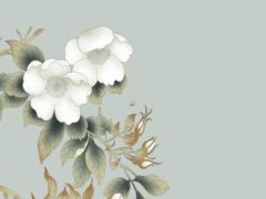 2025年五月提親好日子適合選擇 哪日好