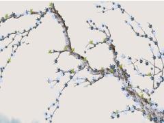 2025年5月搬家吉利日 哪天最適合入宅