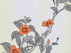 龍的死對頭是什么動物 龍的死敵是什么