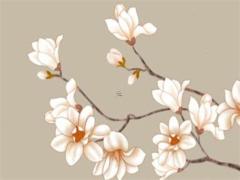 1998屬虎出生時(shí)辰命運(yùn) 1998屬虎辰時(shí)出生運(yùn)勢(shì)