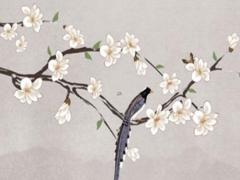 八字經典淵海子平故宮 淵海子平算命秘訣