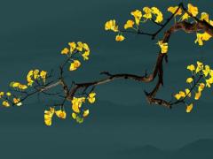 屬豬人2025年5月開業(yè)吉利日與適宜日測算