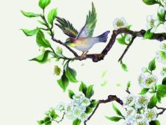 八字喜火和土的名字 生辰喜火與土的名字