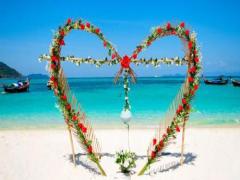 夢見被蜘蛛咬是什么預兆