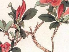 2025年4月最吉利日子推薦 適宜結婚的好日