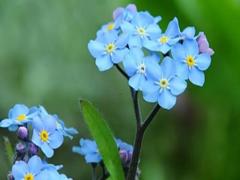 夢(mèng)見傳真機(jī)