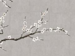 2025年4月剖腹產(chǎn)吉利日子測(cè)算 哪日最好