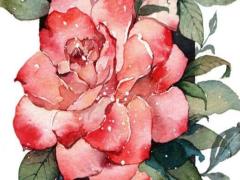 2025年5月合適理發日測算 哪日吉利