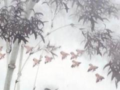 中華八字排盤系統 中華八字排盤預測