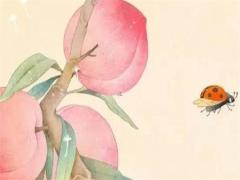 本命年兔女士頭飾戴什么,屬兔的女生本命年可以結(jié)婚嗎