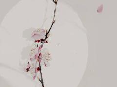 2025年5月開工吉利日 哪天最合適