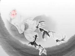 趣味八字測試婚姻樹 婚姻樹測試軟件