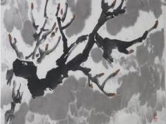 天蝎座具體資料 天蝎座資料簡介