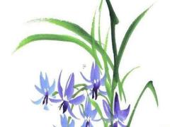 1996年屬鼠有什么災難 1996年屬鼠發生了什么大事