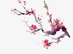 2025年四月嫁娶吉日最好測算