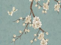 本命年兔五月要準備什么生日禮物,本命年5月份運勢如何